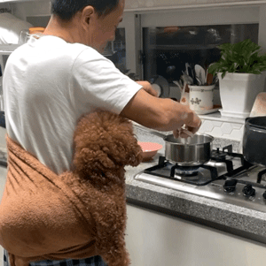 养狗的好处和坏处，看完你还想养狗吗？