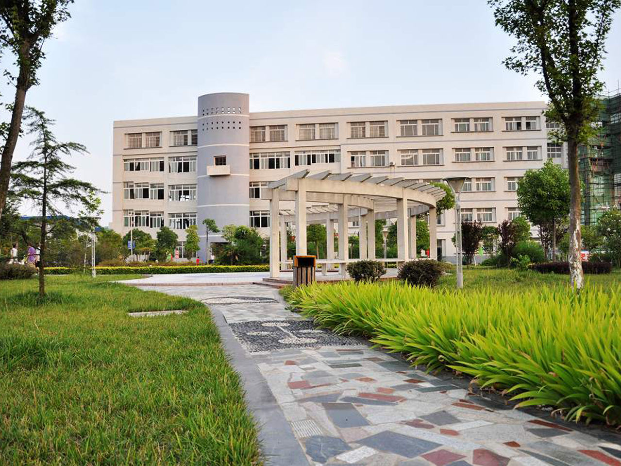 高考再次改革，体育考生艺术考生文化课要求提高，是噩梦的到来？