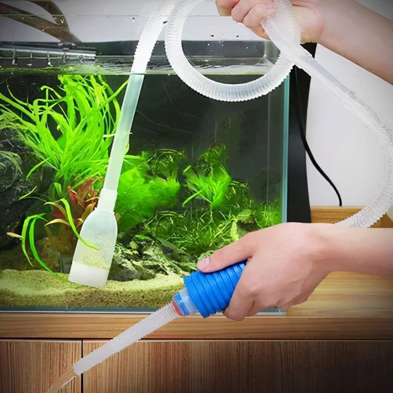 養魚的水,養魚的水怎樣才能養好水質