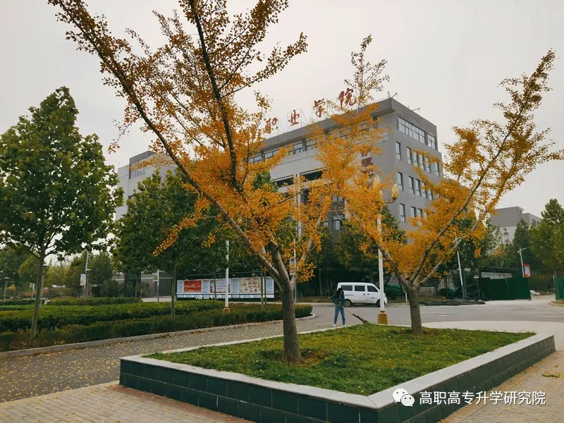 河南护理职业学院