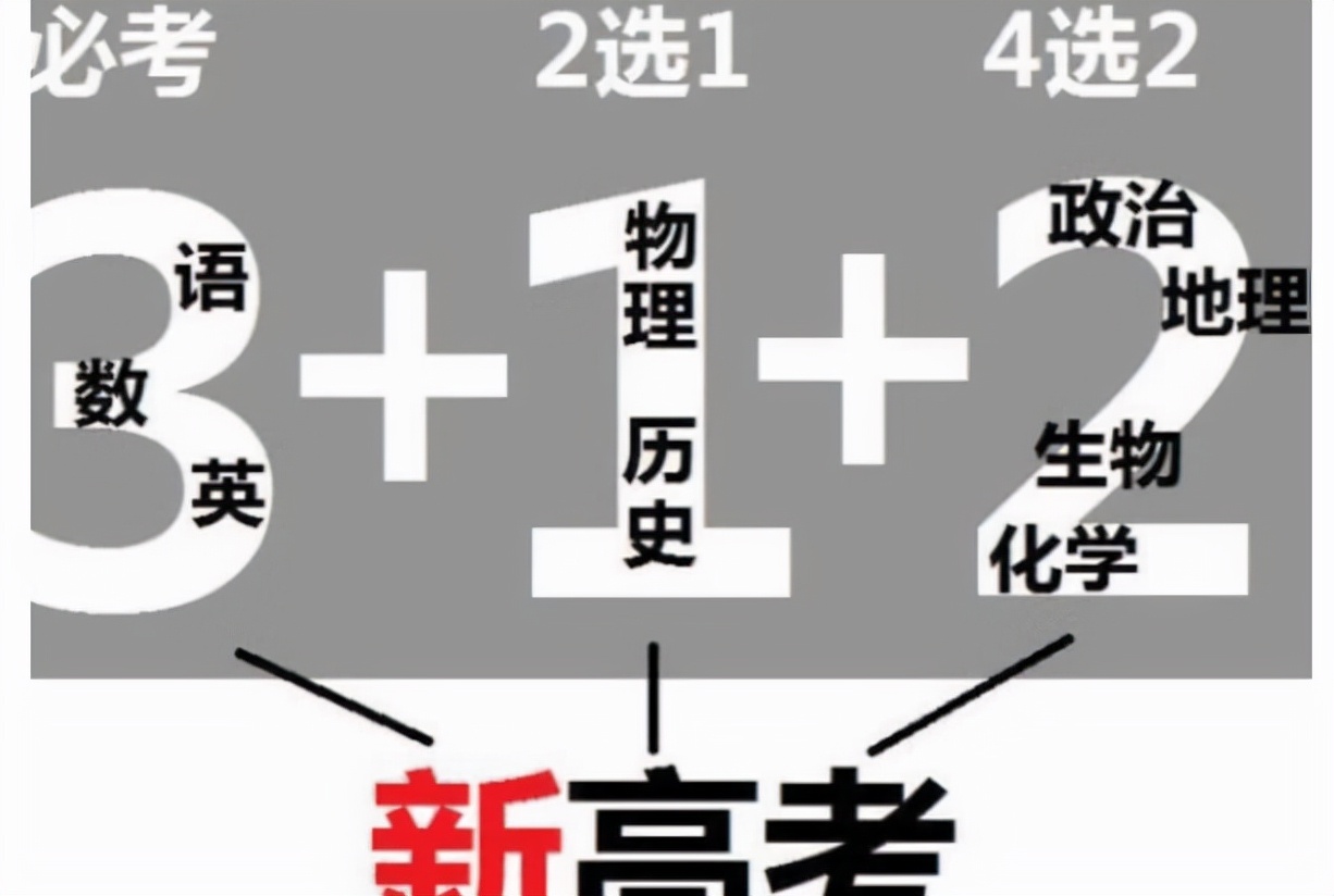 新高考组合（新高考）