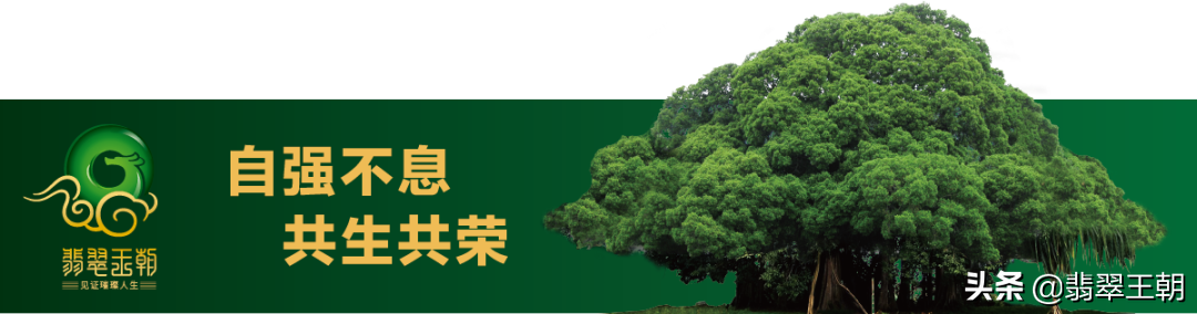 麦启明：广告代运营服务以点带面，人才是未来发展引擎