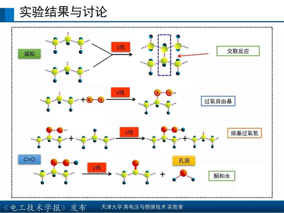 天津大学高宇副教授：核辐射环境下聚合物绝缘材料的研究新成果