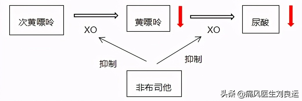 印度的非布司他比国产药降尿酸效果更好？治疗痛风请先对症再用药