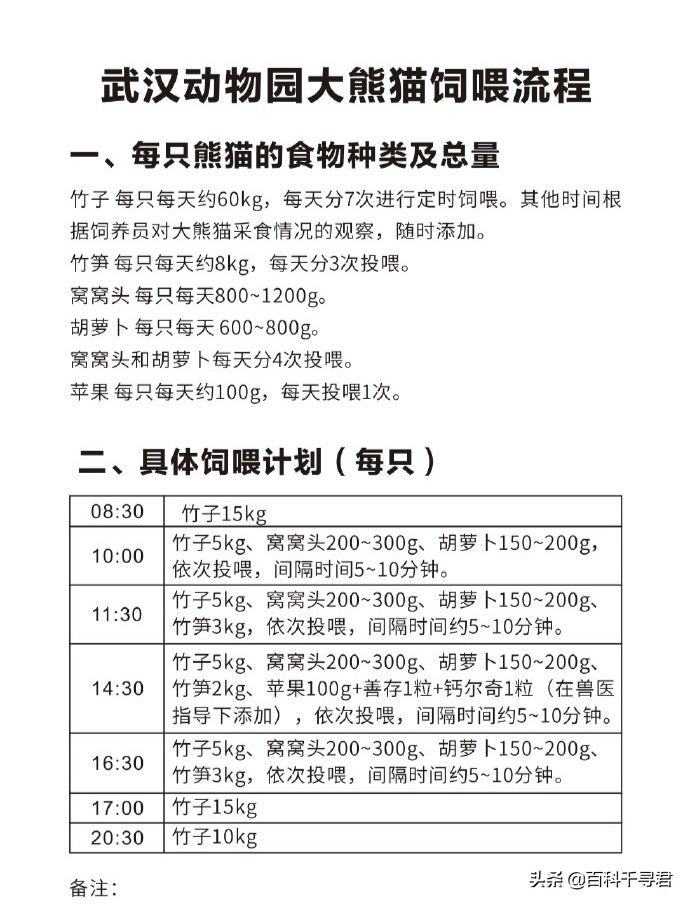 大熊猫的“超能力”：每天能吃60公斤，排便40次