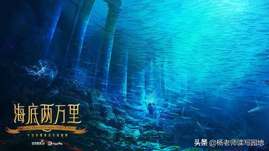海底两万里尼德兰读后感100字(海底两万里鱼叉王尼德兰的读后感 _晶