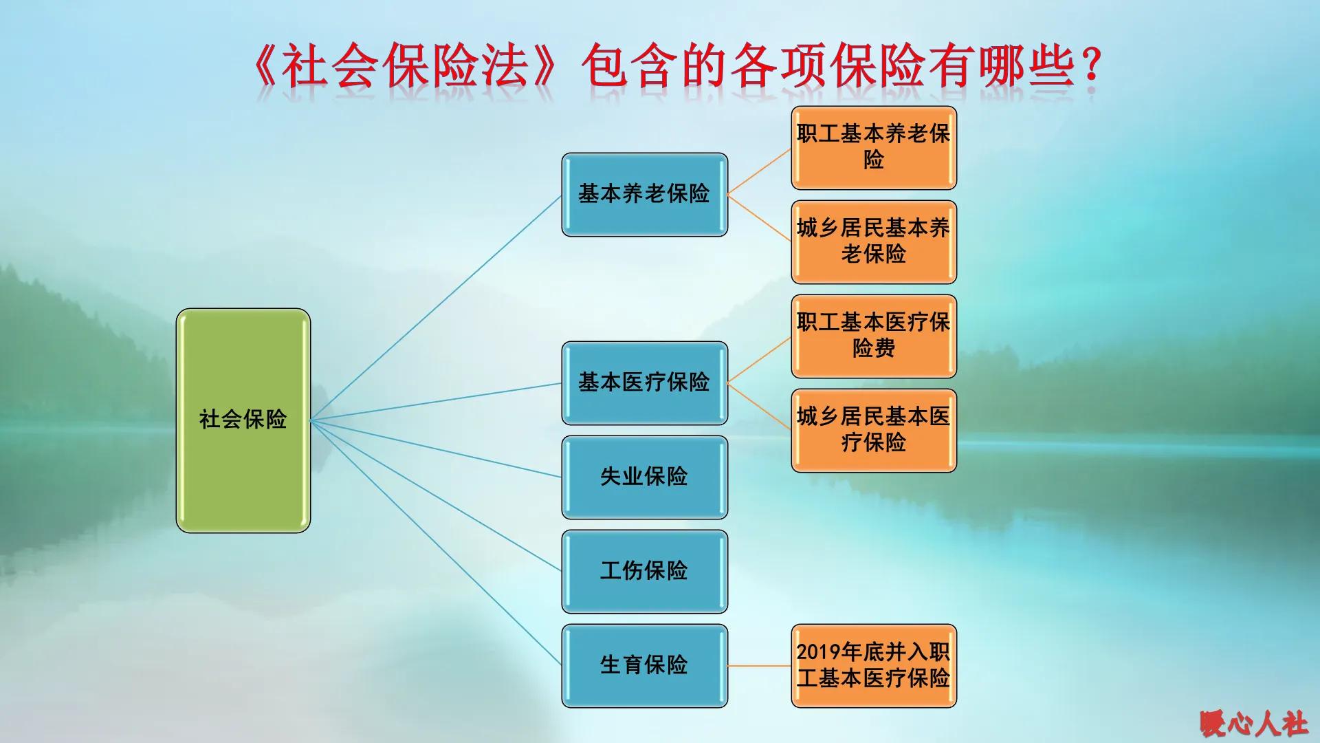 已经45岁，参加社会保险每年需要缴纳多少钱？如何组合更划算？