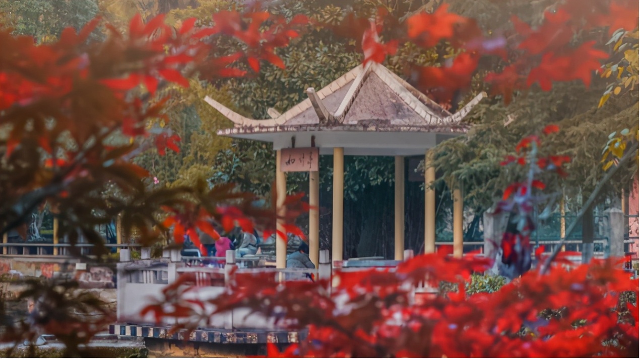 高颜值+硬实力！四川甜美女学霸：奖学金拿不停，屡获国奖，如今保研名校！