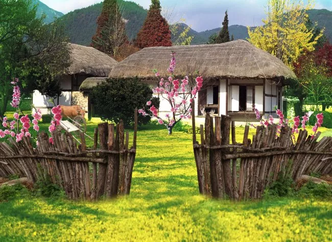 余生，想要一个院子，看花开花落
