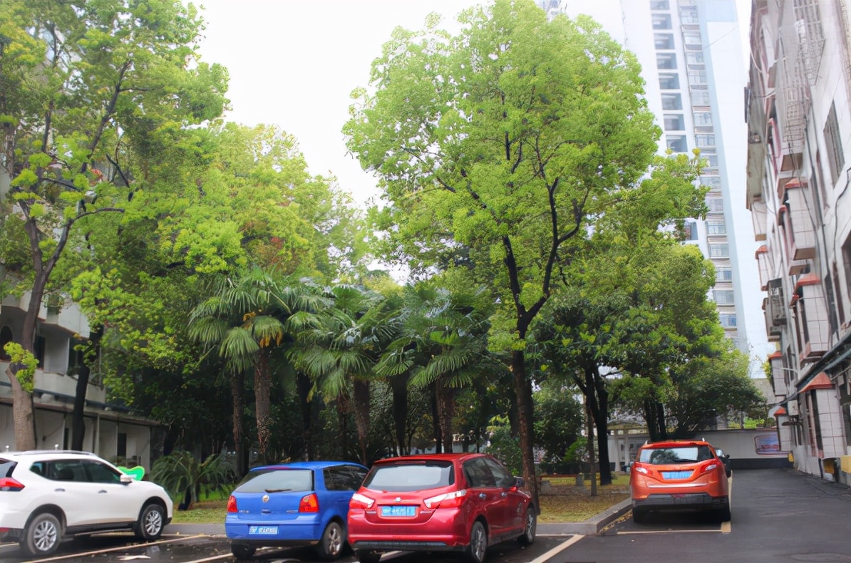 襄阳:襄州区张湾办事处家属院“旧改”文化墙成靓丽风景线