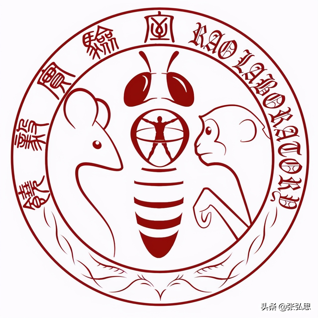 裴刚 同济大学（最近两个大瓜看中国的科研制度建设）