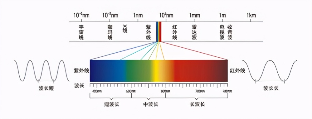 电动汽车辐射巨大？会使得男性性功能下降，加速秃顶，腿毛掉光？