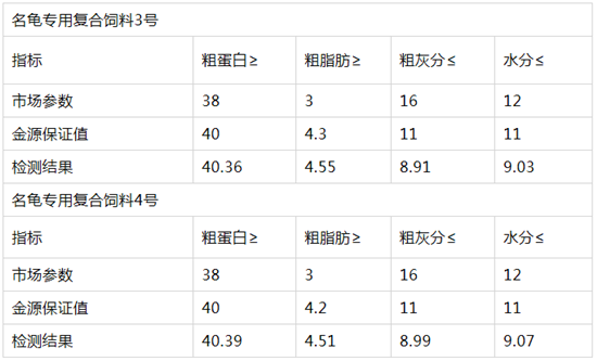 小细节大学问——养龟苗的最佳水位，既省成本又健康成长