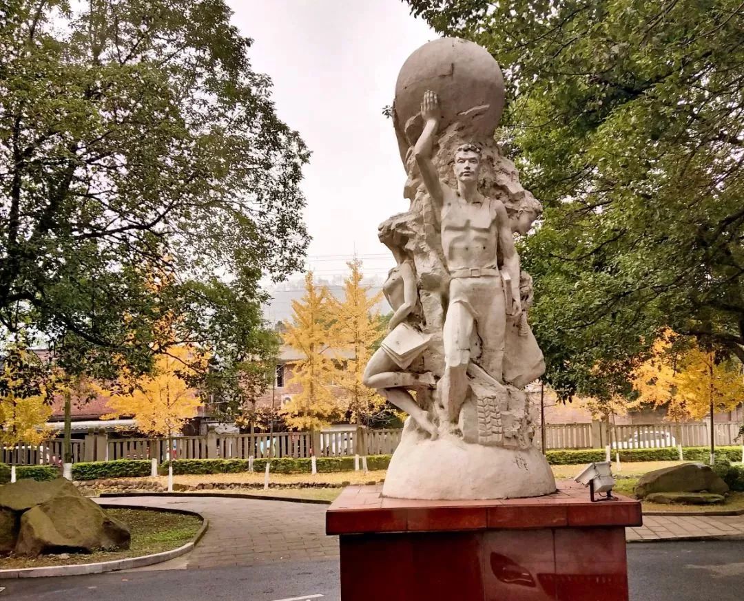 期待！宜宾职业技术学院要搬啦，拟选址南溪...