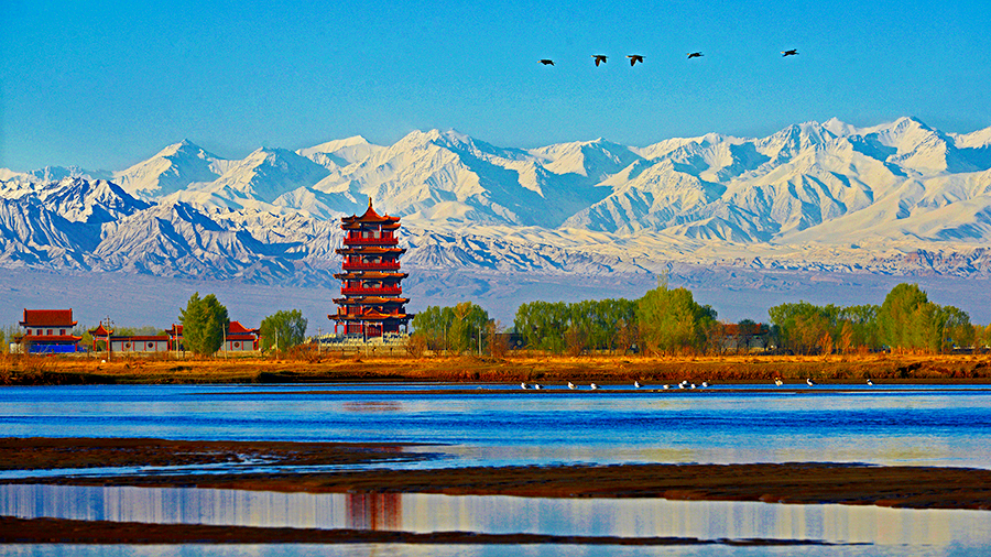 天水或张掖，谁会成为甘肃省内除兰州外第一个拥有大学的城市？