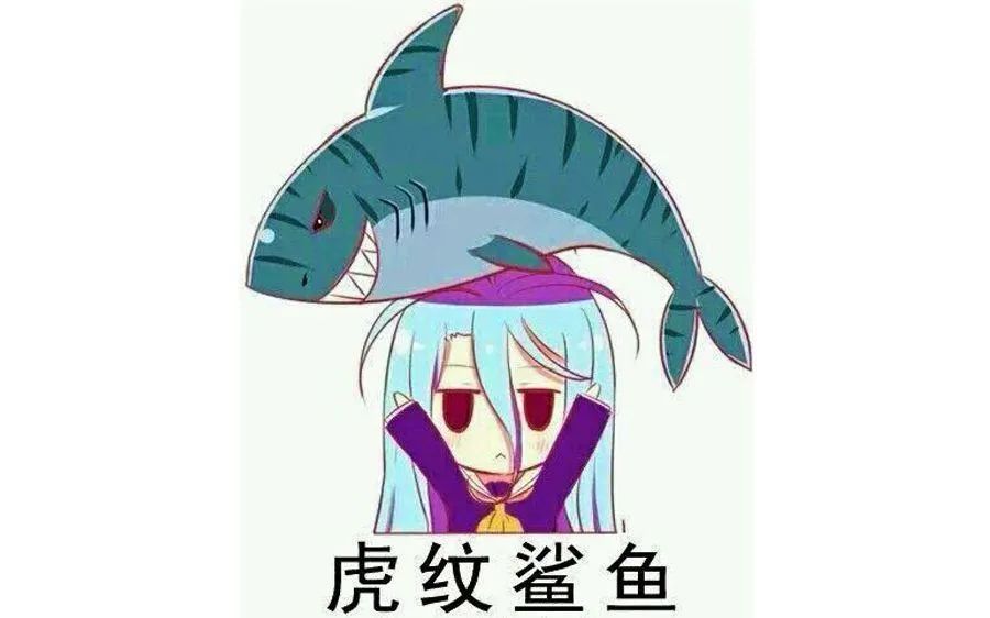 虎紋鯊魚,虎紋鯊魚是哪首歌