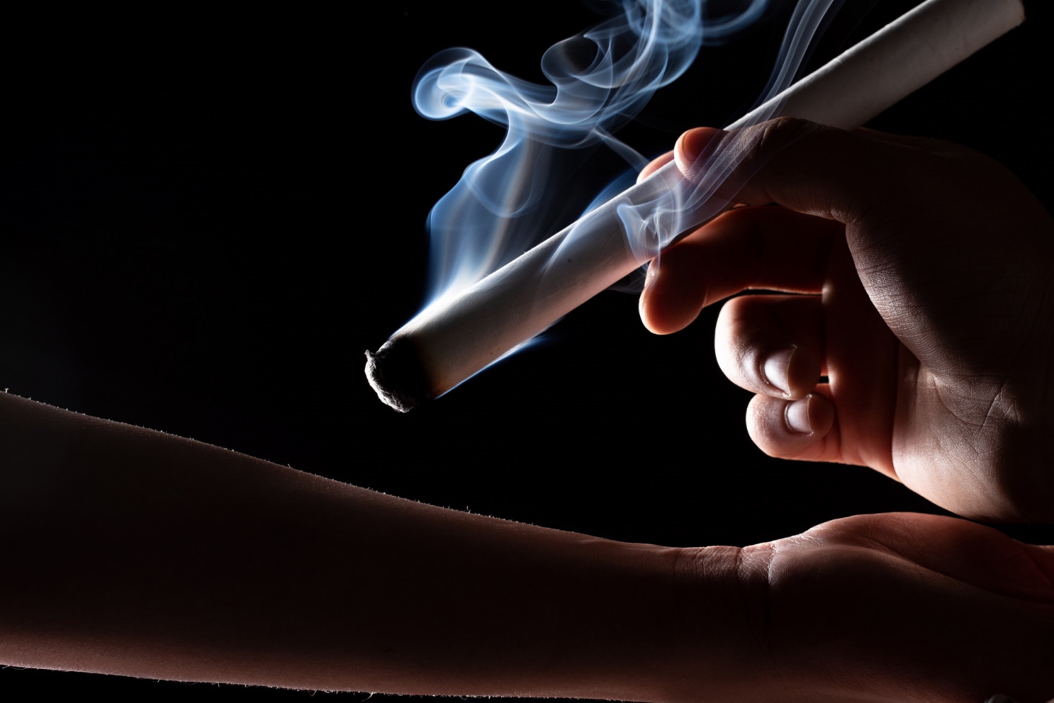 人体最大的器官是什么你知道吗？它对人的重要性你可能没有意识到