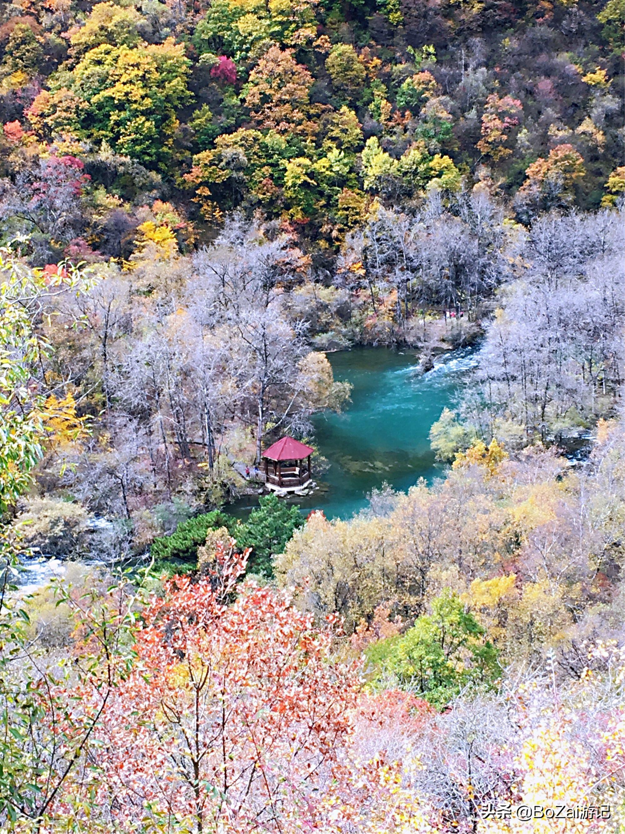 到四川阿坝旅游不能错过的19个景点，你去过几个？最爱哪个景点
