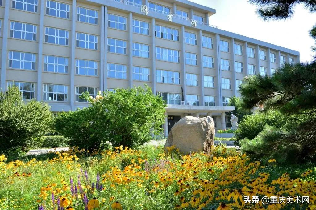 音乐表演(钢琴演奏方向),舞蹈表演8,中国人民大学:设计学类,绘画,美术