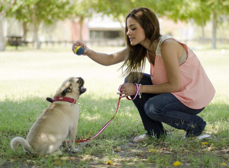 为什么训犬师男的多？难道训狗还要看性别？男女训犬确实不一样！