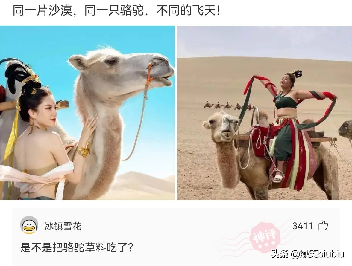 搞笑神评：怎么样把我想跟你睡觉说得委婉一点？神评绝了