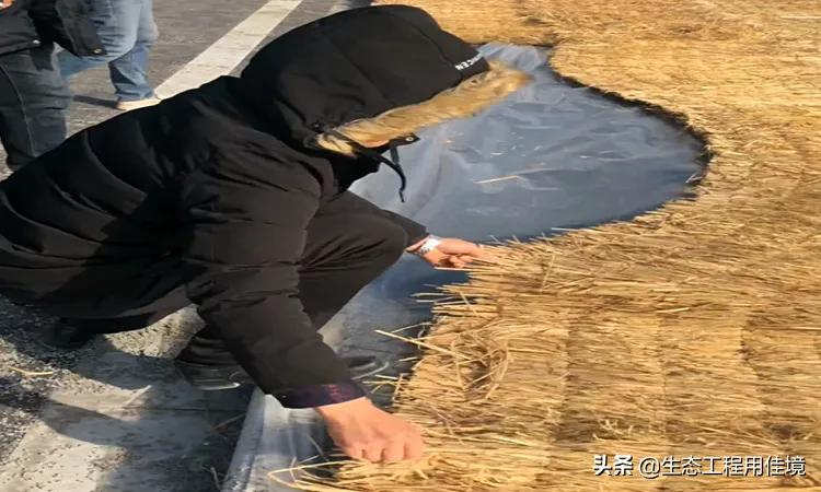 甲方总催项目进度,透水混凝土冬季该如何施工?