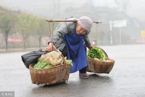 愿老有所依，老有所养，不负人间走此一趟