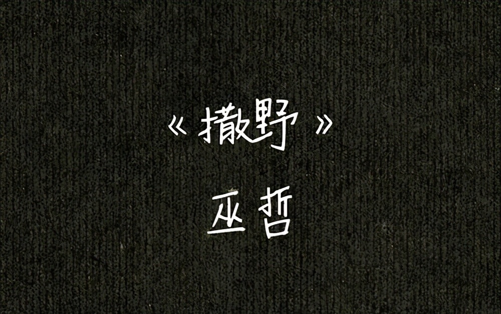 《读巫哲：撒野中的文字江湖与心灵共鸣》