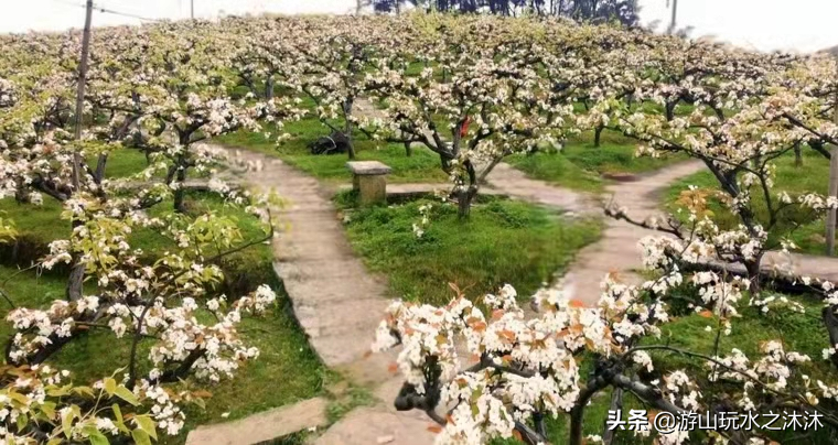 永川吃喝玩乐旅游攻略，永川美食推荐，永川免费景点推荐