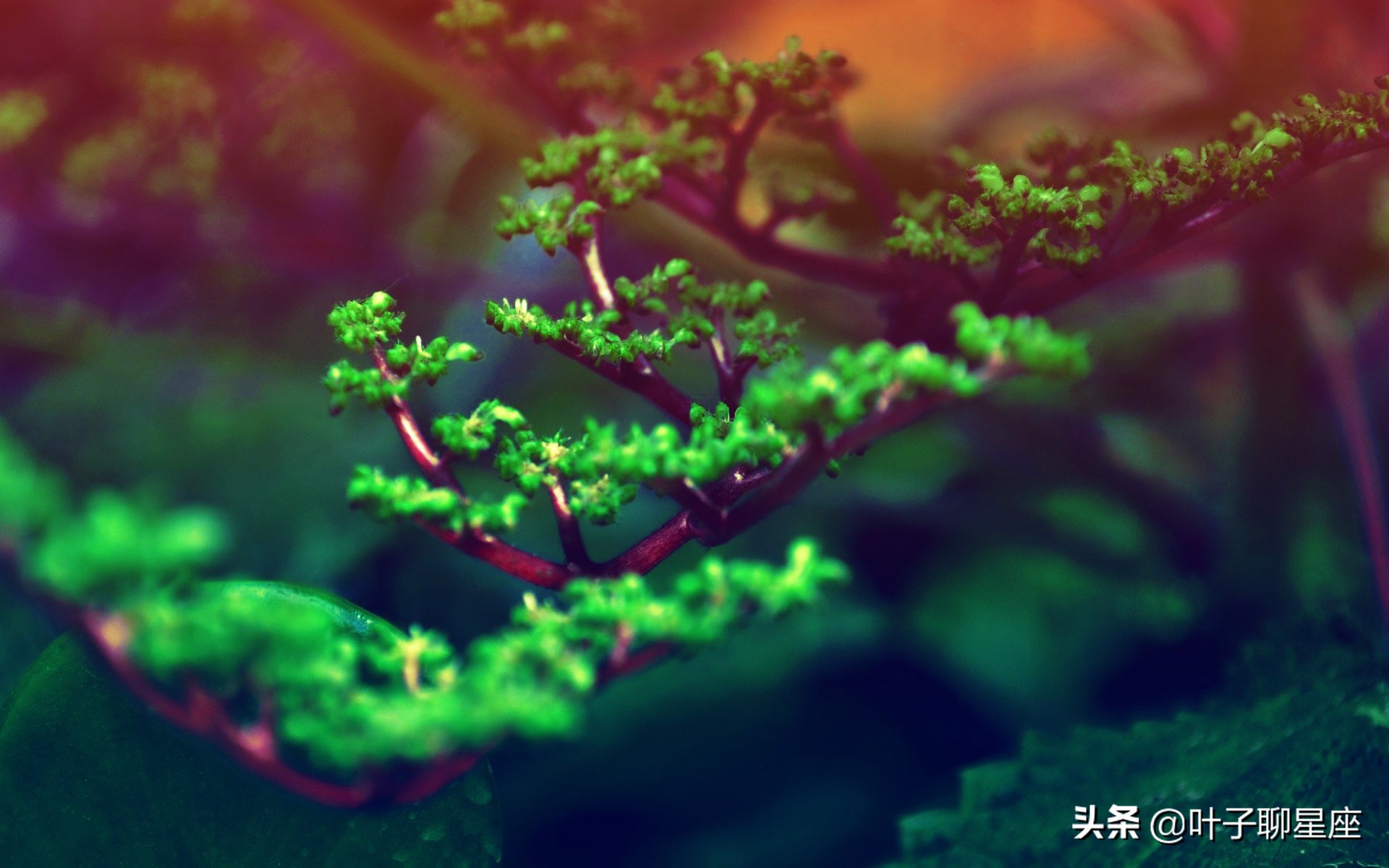 水瓶座和什么星座最配？水瓶座的最佳伴侣