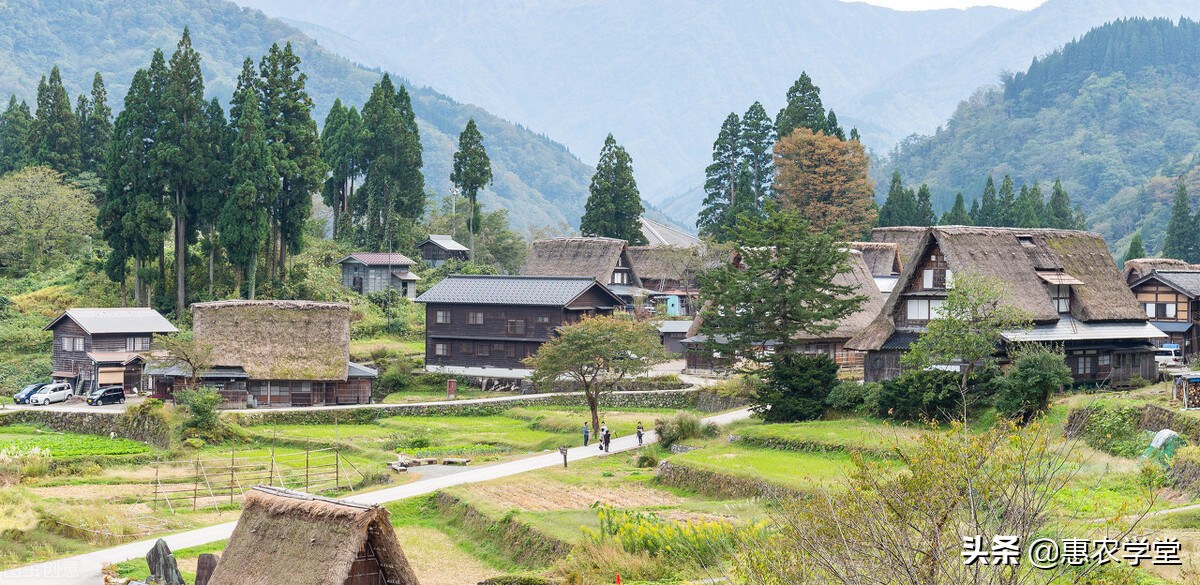 农村荒地可以建房子吗？开垦的荒地使用权归自己吗？征收有补偿吗