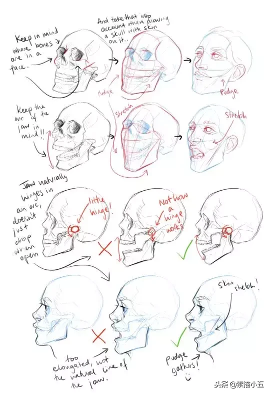 画好头像素描的内功秘籍