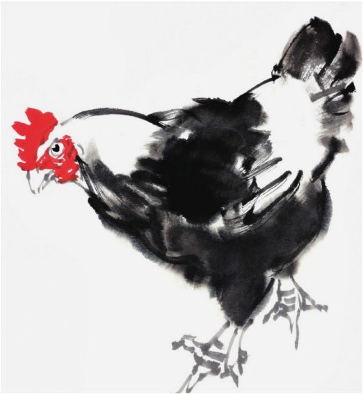 侧面行走形态下的母鸡的画法