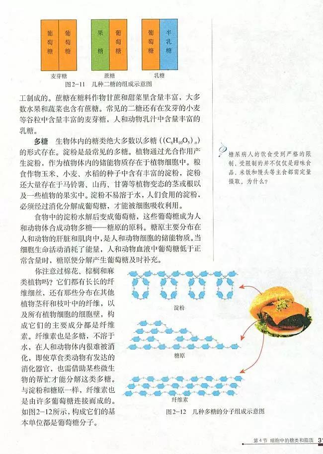 人教版高中生物（必修1）电子课本（高清版）