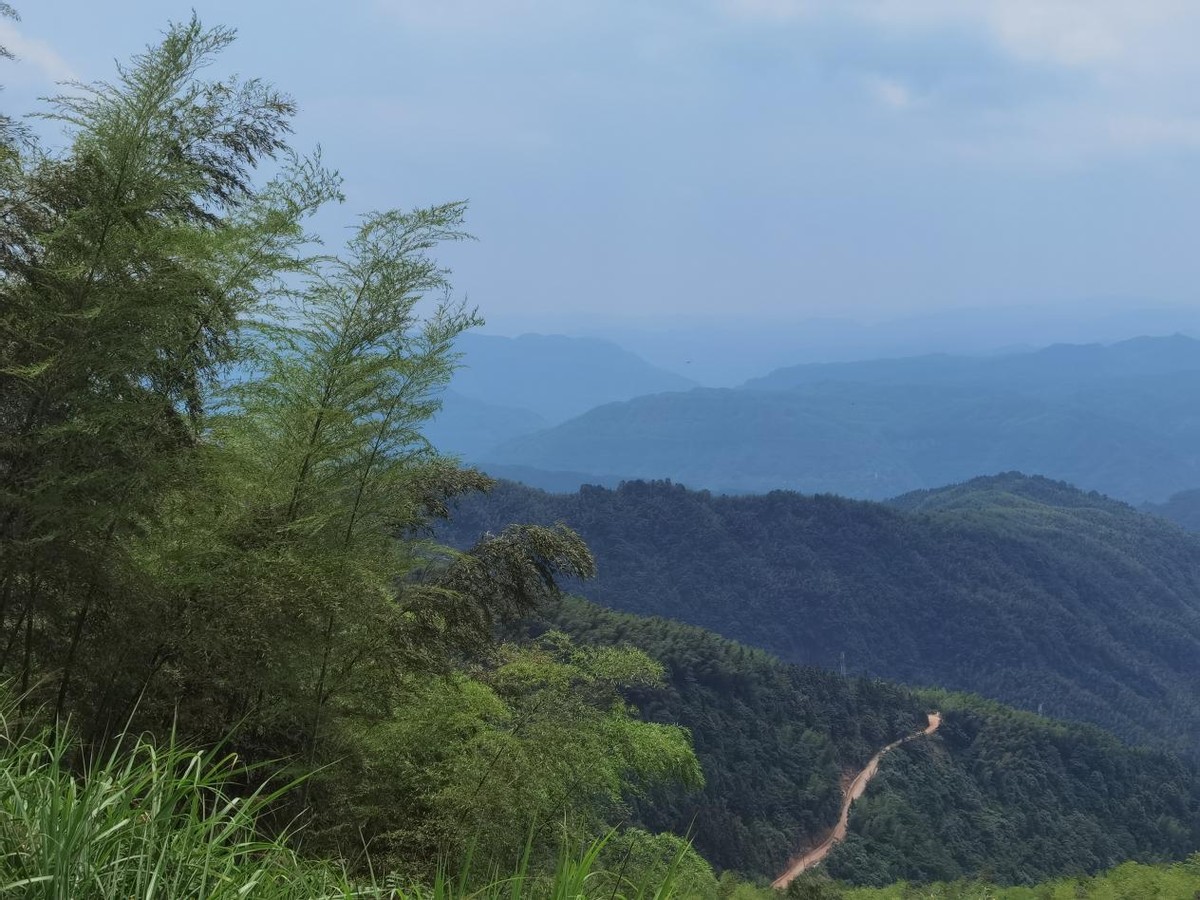 自驾探访天鹅湖，百余公里轻松搞定