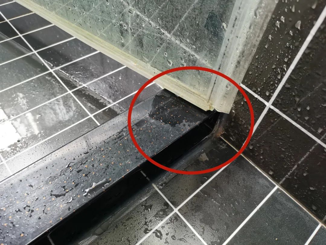 从此告别外出洗车的烦恼——威克士无线高压洗车机深度使用体验