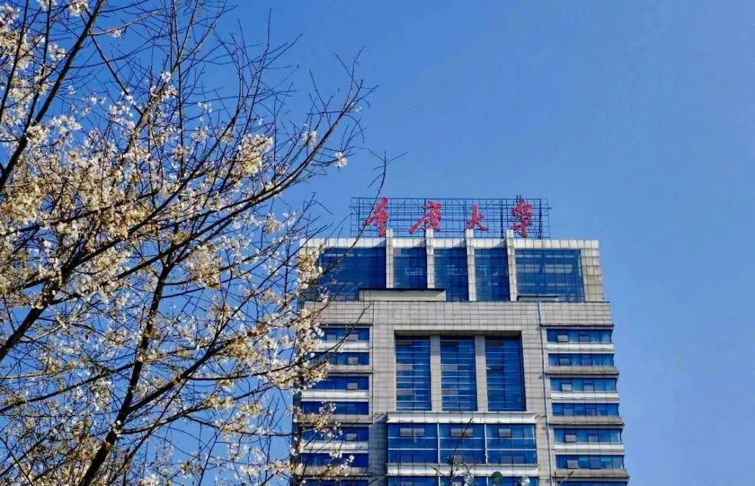 21年各高校艺术类录取原则：文过专排、专过文排、综合分具体情况