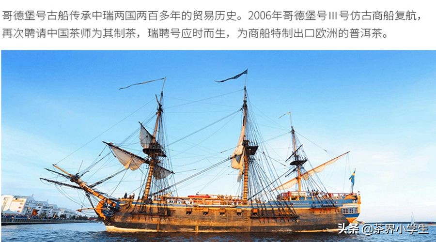 2019年双11，普洱茶热销品牌10强背后的故事
