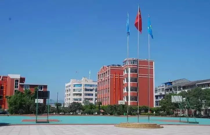 据说，这是全温州最好的十所小学！