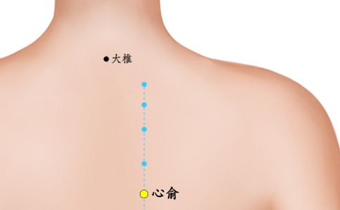 胃在什麼位置圖片心口疼胃疼如何辨別