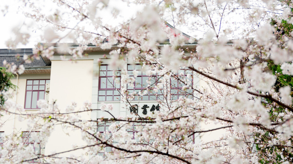 长三角城市群35所美术类大学，每一所大学都特色鲜明各有所长