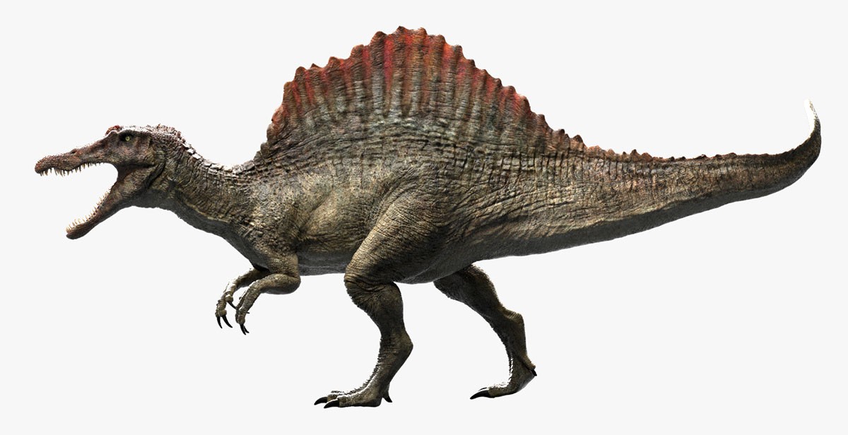 史前十大巨兽排名,超越人类想象,体型有多巨大?