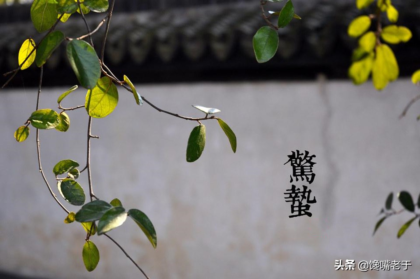 惊蛰前后，遇到这5种水果别手软，滋润防“春燥”好吃营养还不贵
