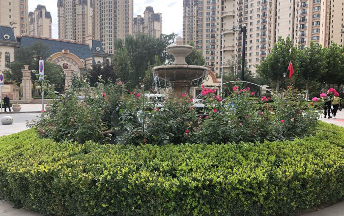 甘肃兰州出类拔萃六所好高中，皆是省级示范高中，有你的母校吗？