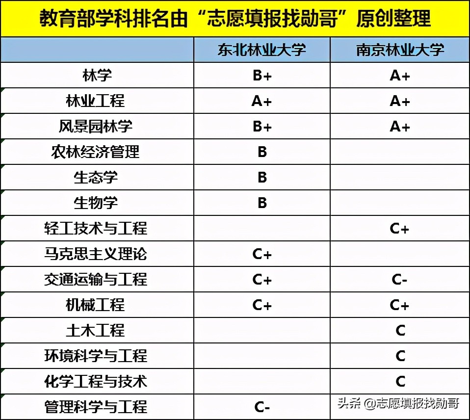 江苏这所“普通”院校表现亮眼，3个学科进入全国前五，实力超211