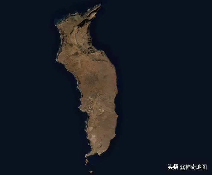 乱谈岛屿（72）瓜达卢佩岛(Guadalupe)山羊与大白鲨的故事