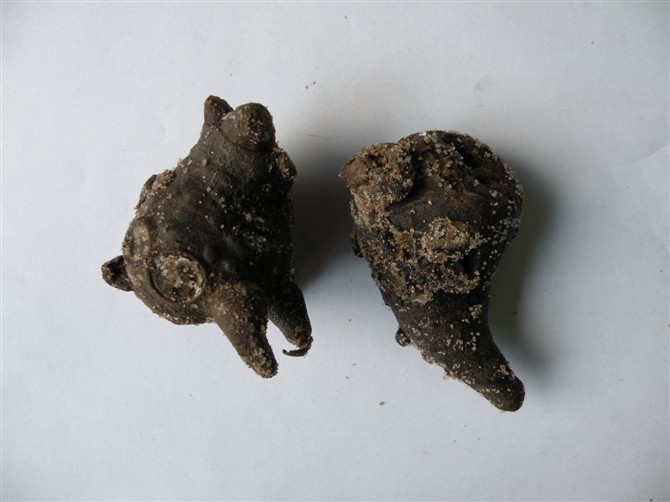 药物组成及用法:川芎20克,川乌20克,川牛膝30克,川断30克,川椒20克