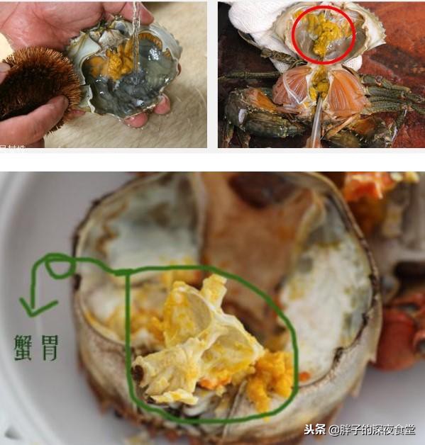 蟹黄和蟹屎的区别图片(蟹黄) - 赤虎壹号