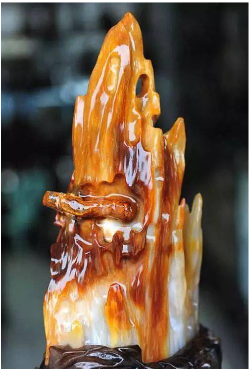 树化玉原石图片（图文赏析树化玉的真正样子）