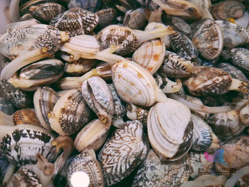 毒素超标！官方紧急提醒：这种常见食物近期勿食